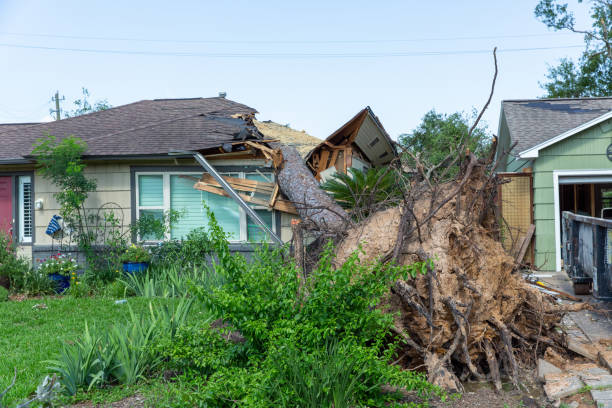 Large tree fallen on roof, causing significant damage to residential house