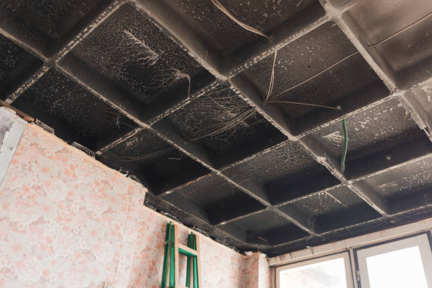 Damaged, cracked ceiling tiles with water stains in an old building interior