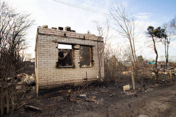 Burned brick building shell with broken windows surrounded by bare trees