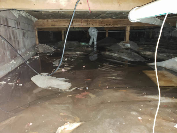 Flooded crawl space with standing water and exposed pipes