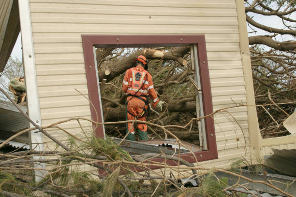 Worker in orange safety gear clearing fallen tree branches near damaged building