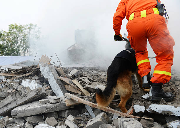 Rescue dog and handler searching through rubble after disaster