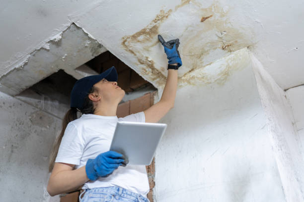 Worker inspecting water damage and mold on ceiling with tablet