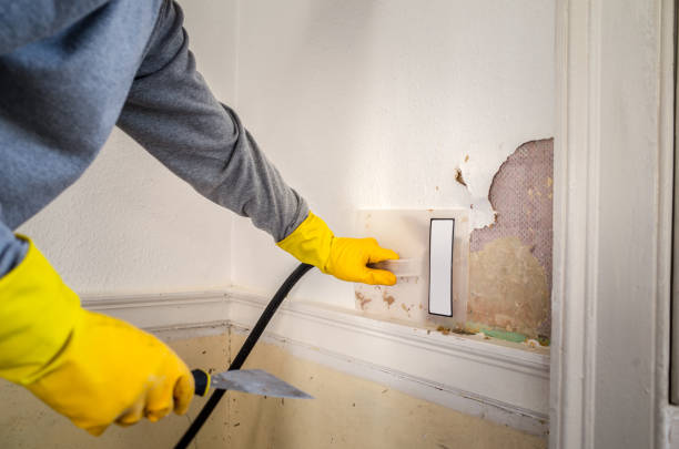Hand in yellow glove removing damaged wall near electrical switch