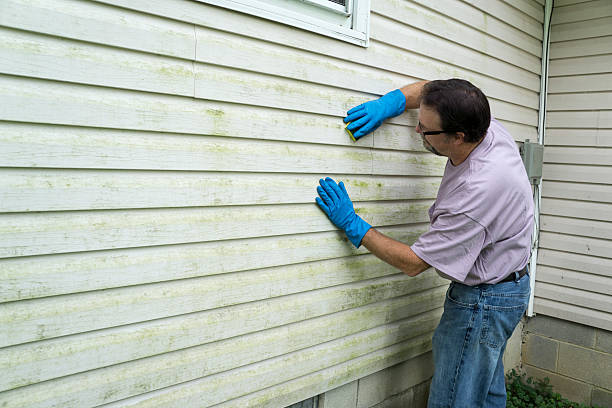 Person cleaning green-stained siding with blue gloves