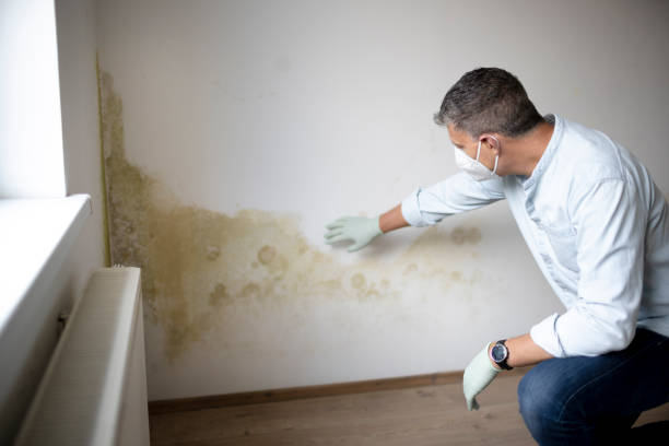Person in mask examining water damage and mold on interior wall
