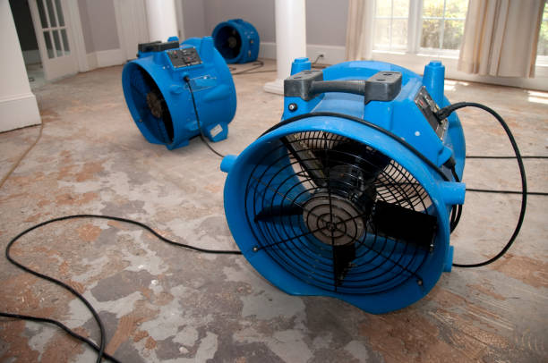 Blue industrial fans on concrete floor with electrical cords