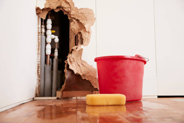 Damaged wall with exposed pipes, red bucket, and yellow sponge