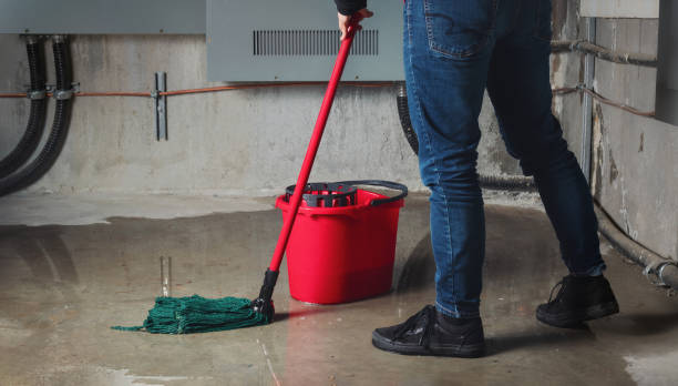 Person cleaning floor with red mop bucket and green mop