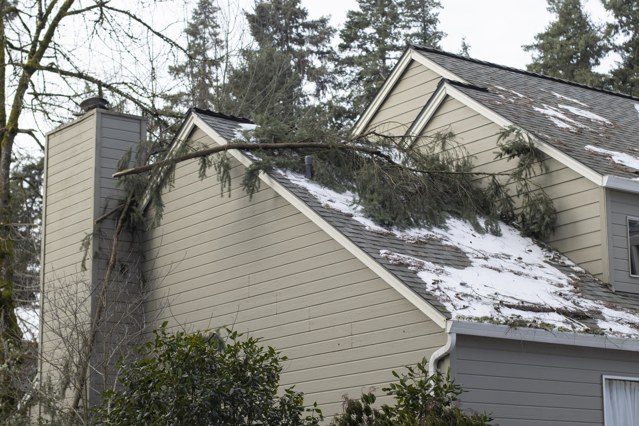 Fallen tree branch resting on snowy residential house roof