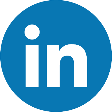 LI icon