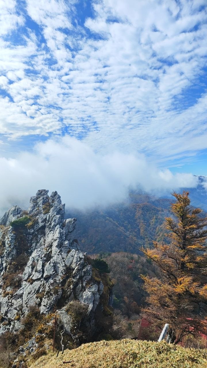 Crête rocheuse, forêt d’automne et nuages observés depuis le sommet du mont Tsurugi, sur l’île de Shikoku au Japon.