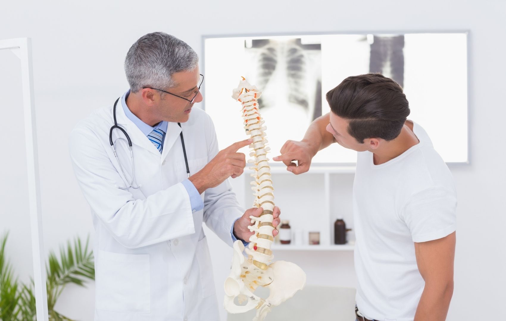 chiropractor pointing at a spot on a spine model while a patient also observes innovate health bedford
