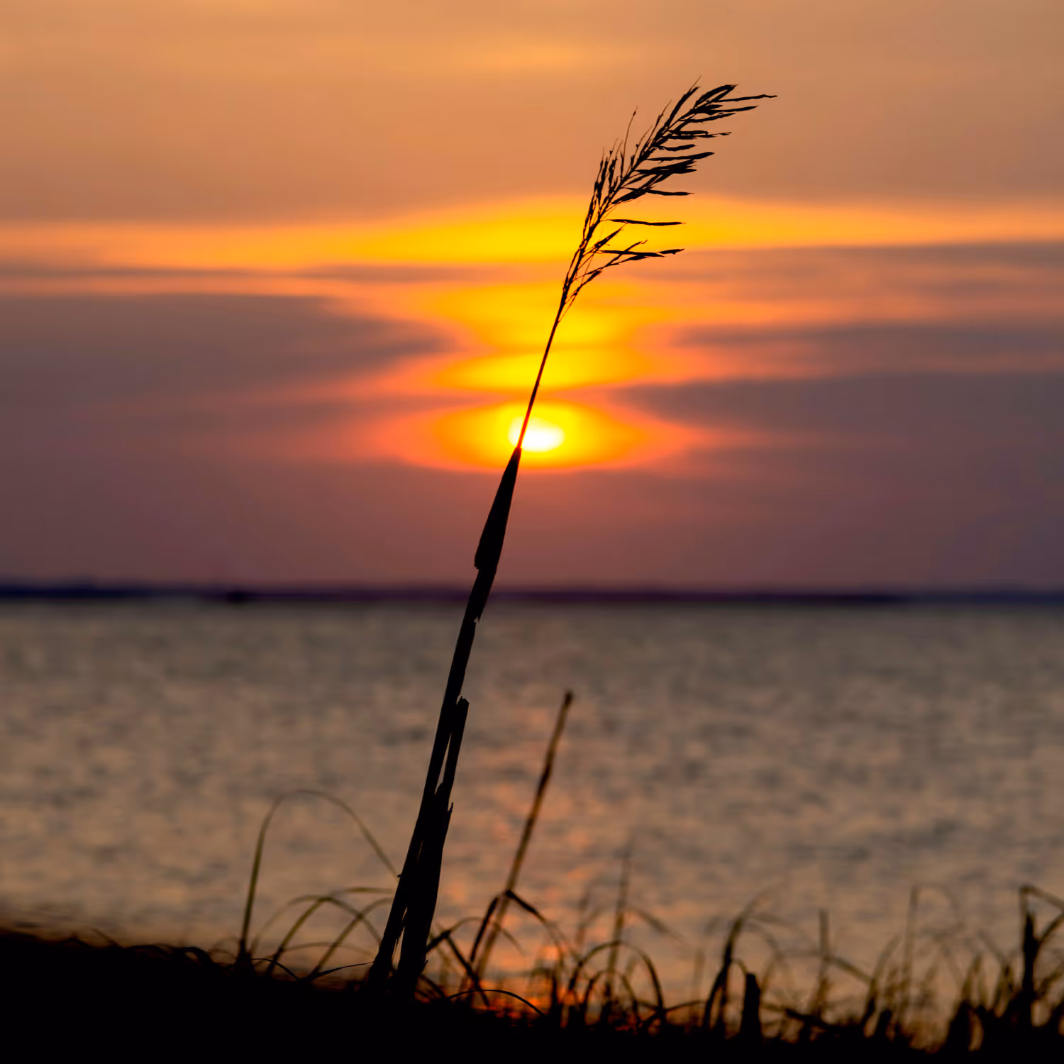 Sunset over The Pamlico Sound