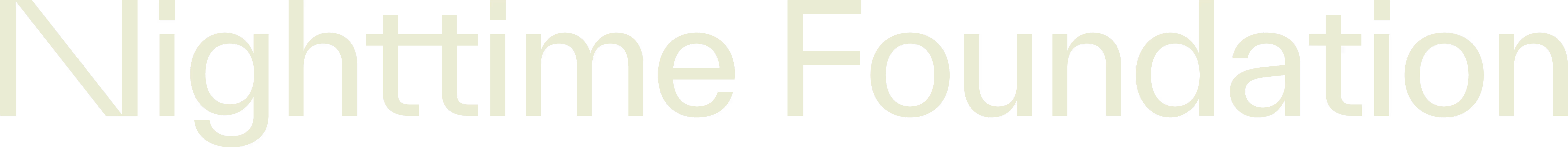 Logo of the Nighttime Foundation
