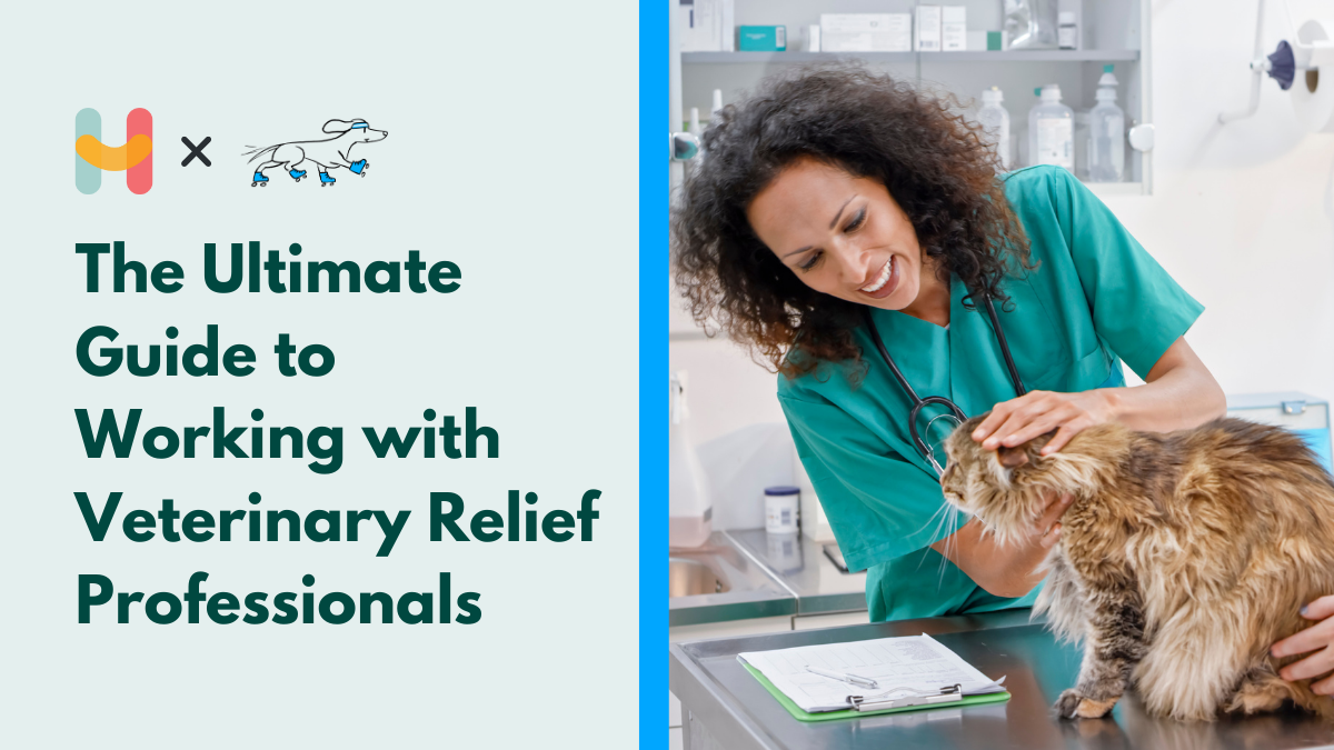 The Ultimate Guide for Better Retention in Veterinary Medicine