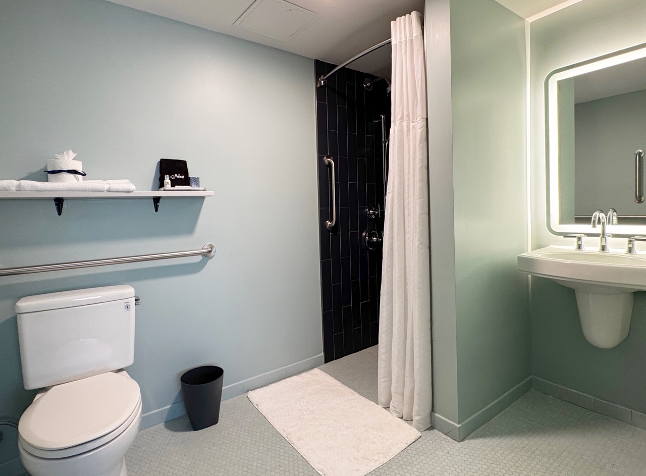 ADA Bathroom with roll in shower