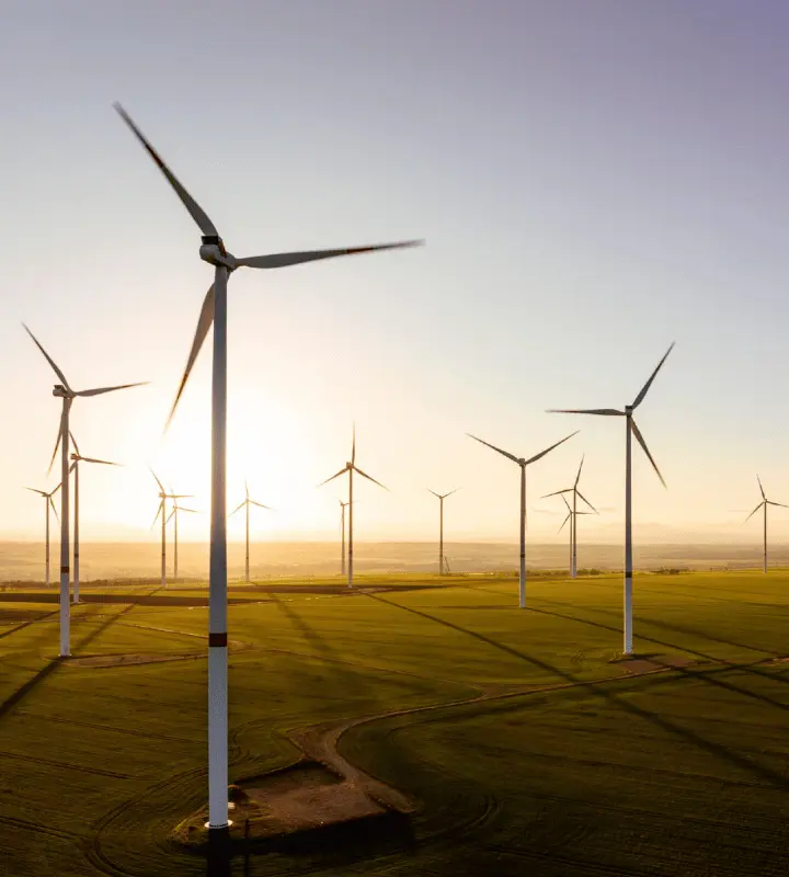 Parque eólico con aerogeneradores en un campo verde con el sol brillando al fondo.