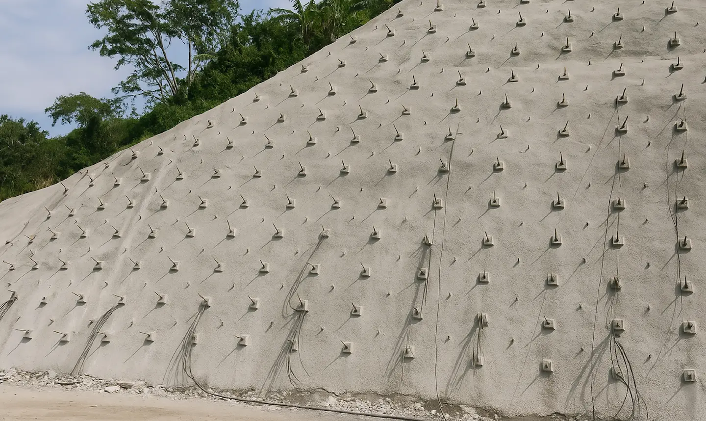 Talud de tierra estabilizado con anclajes de cables metálicos y árboles al fondo.