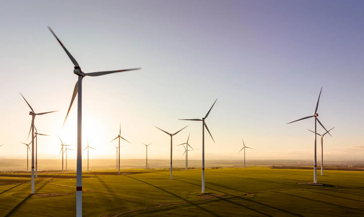Parque eólico con varios aerogeneradores girando sobre campo verde al atardecer.