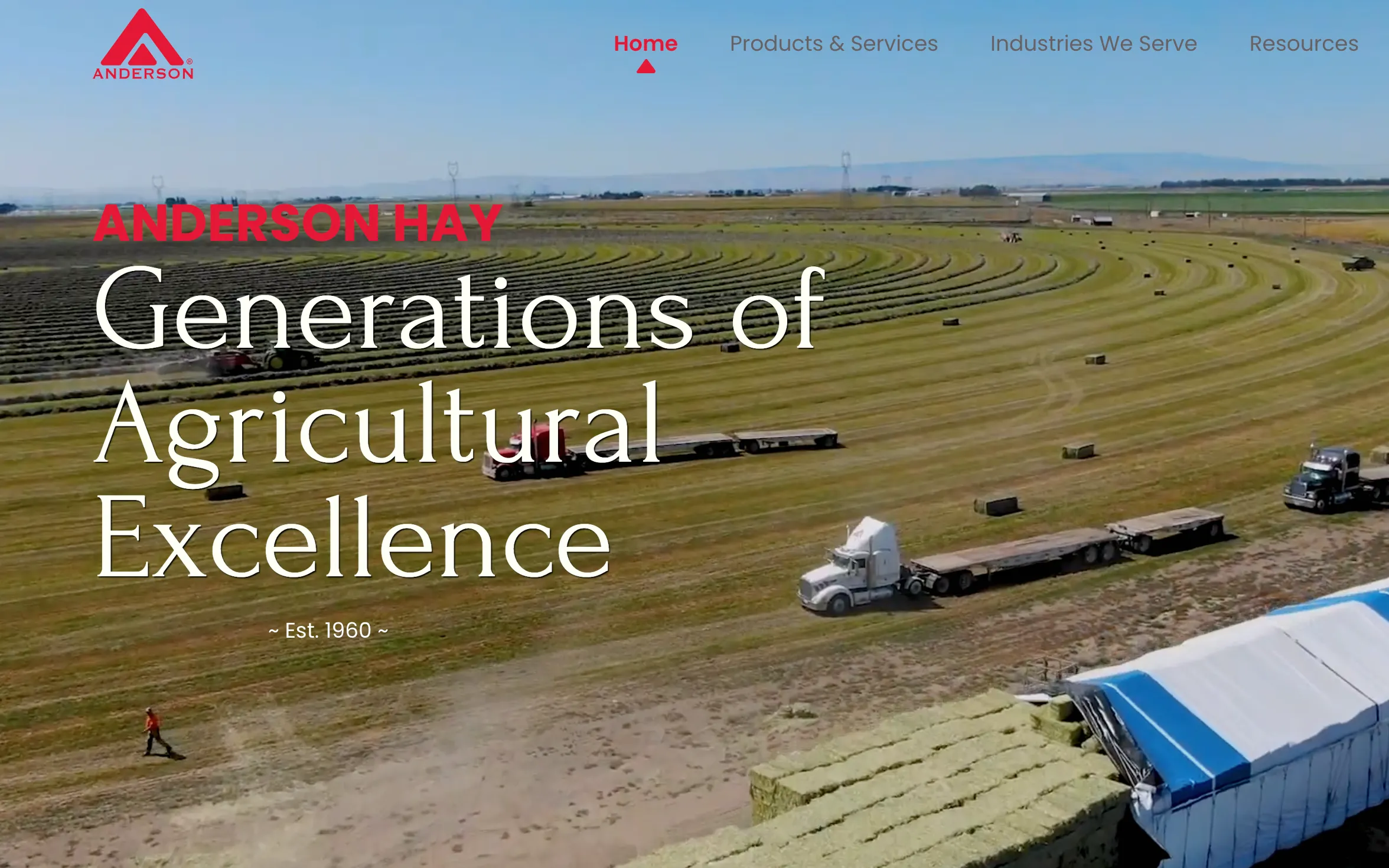 A screenshot of the old Anderson Hay website, focused on bulk, wholesale, and export solutions