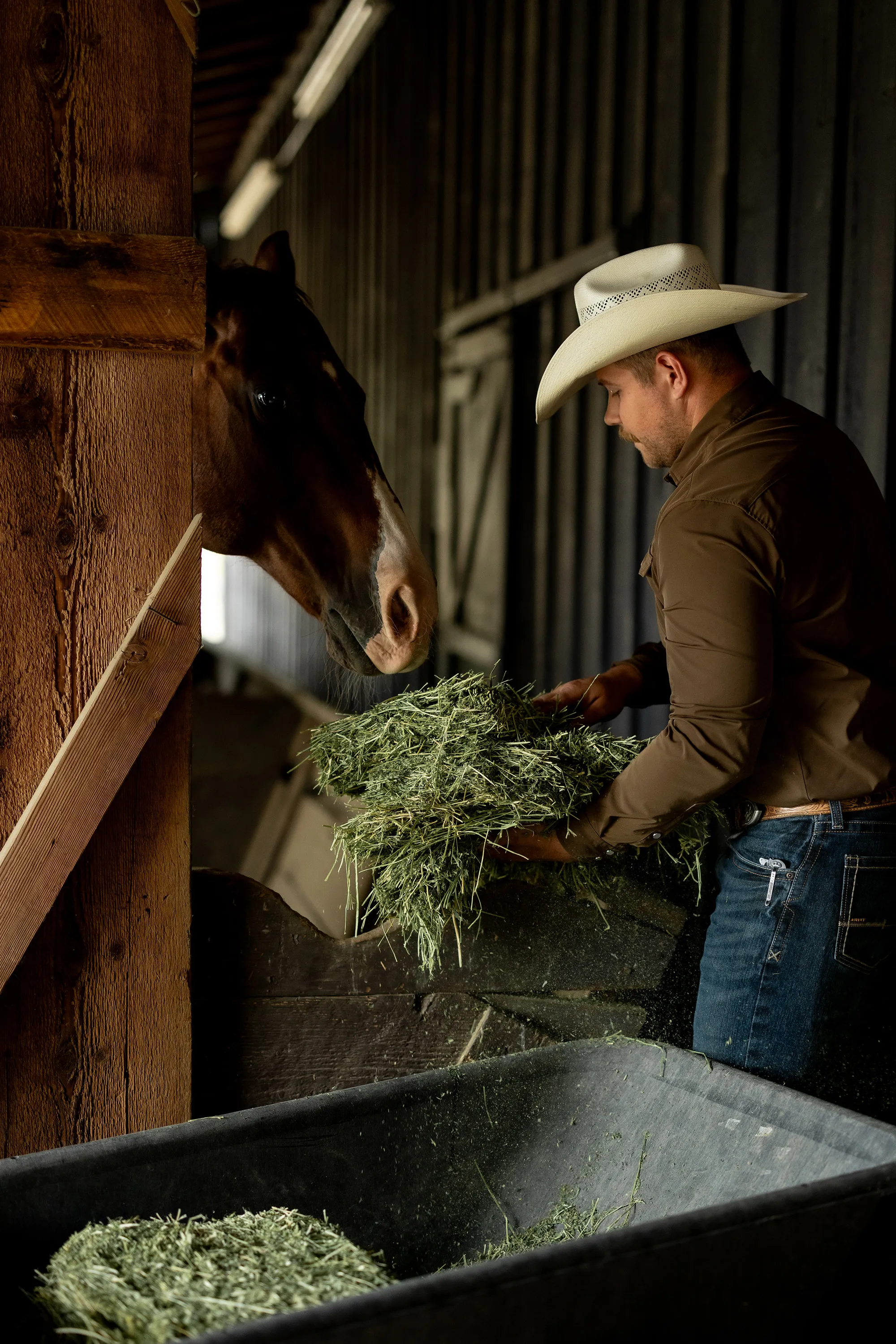 A man feeding Anderson Hay to a horse in a stable