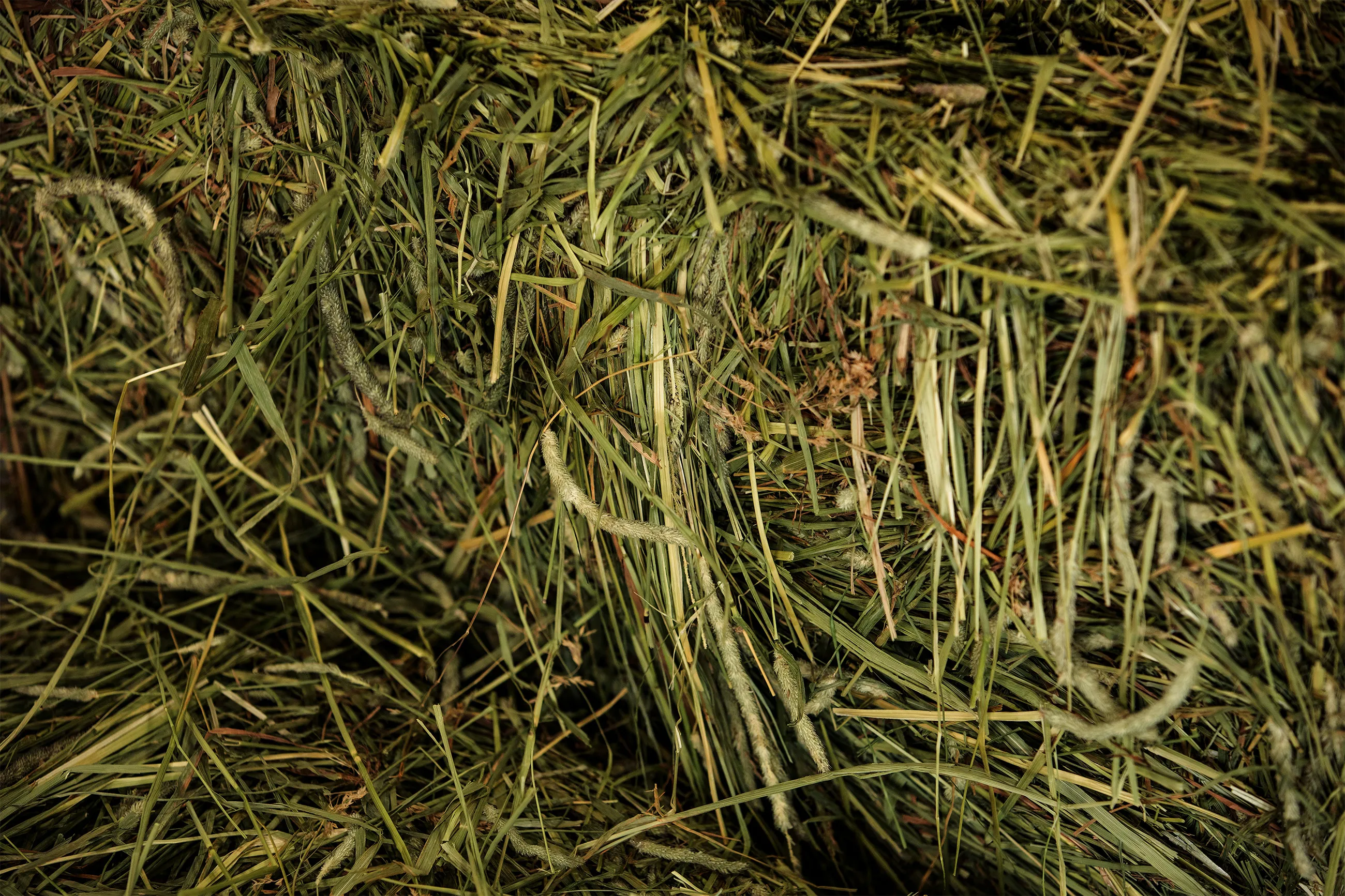 A pile of hay