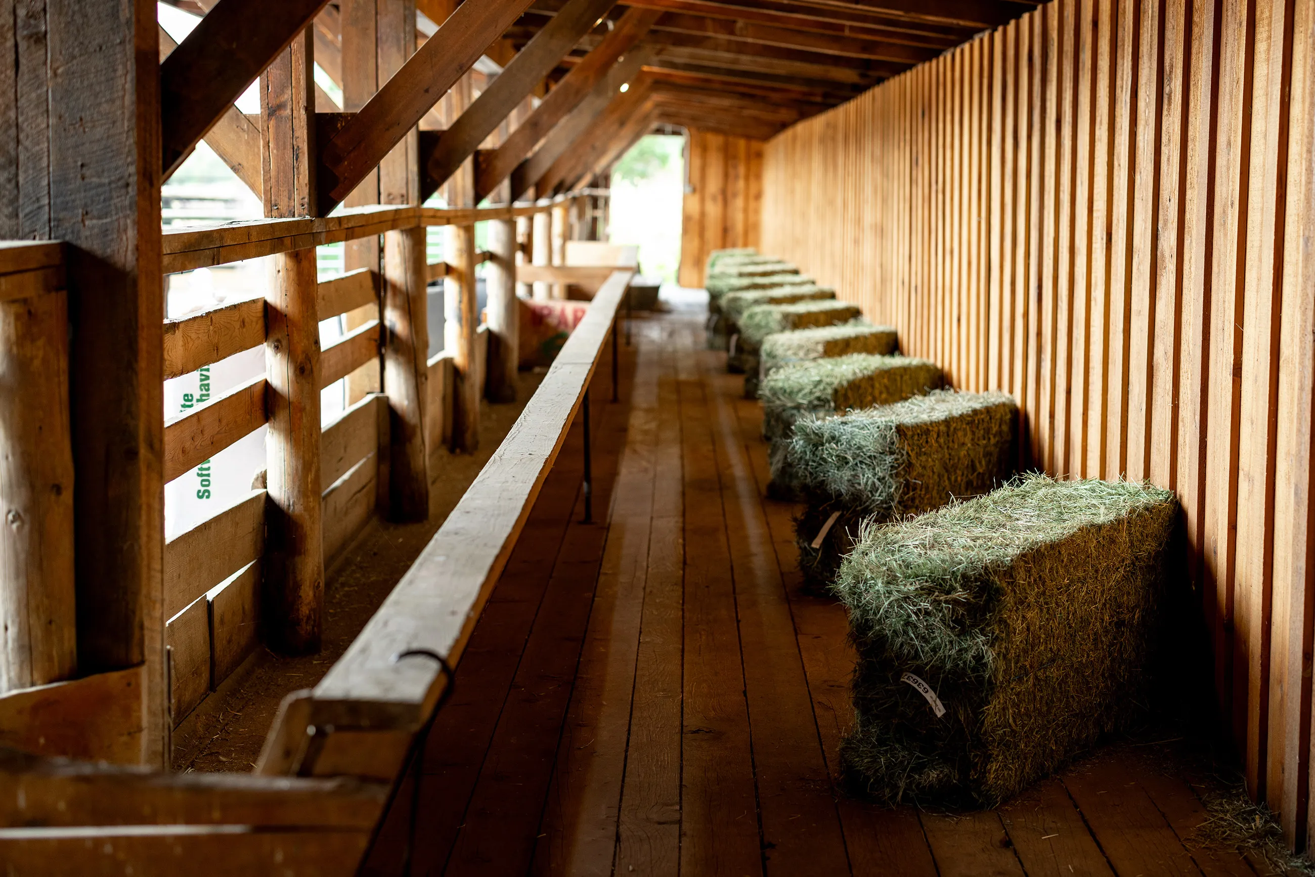 Bales of Anderson Hay lined up in a stable