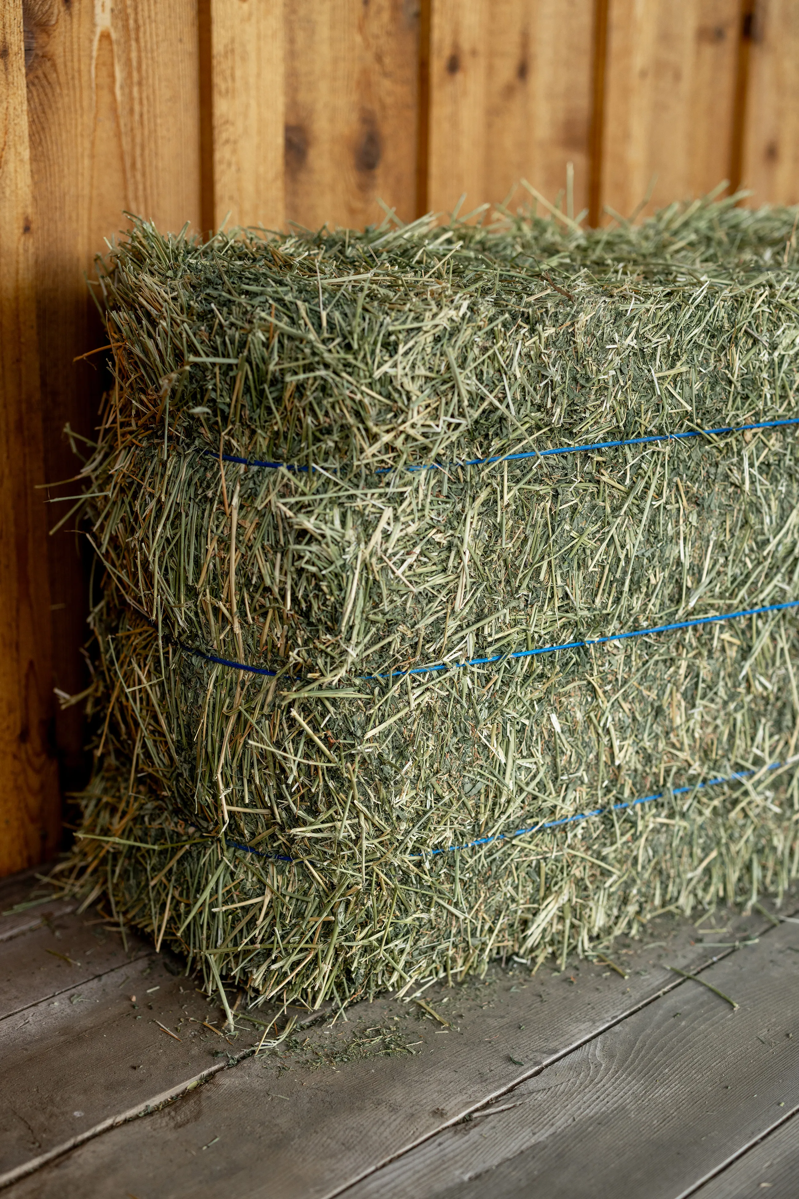 A 3-tie bale of Anderson Hay