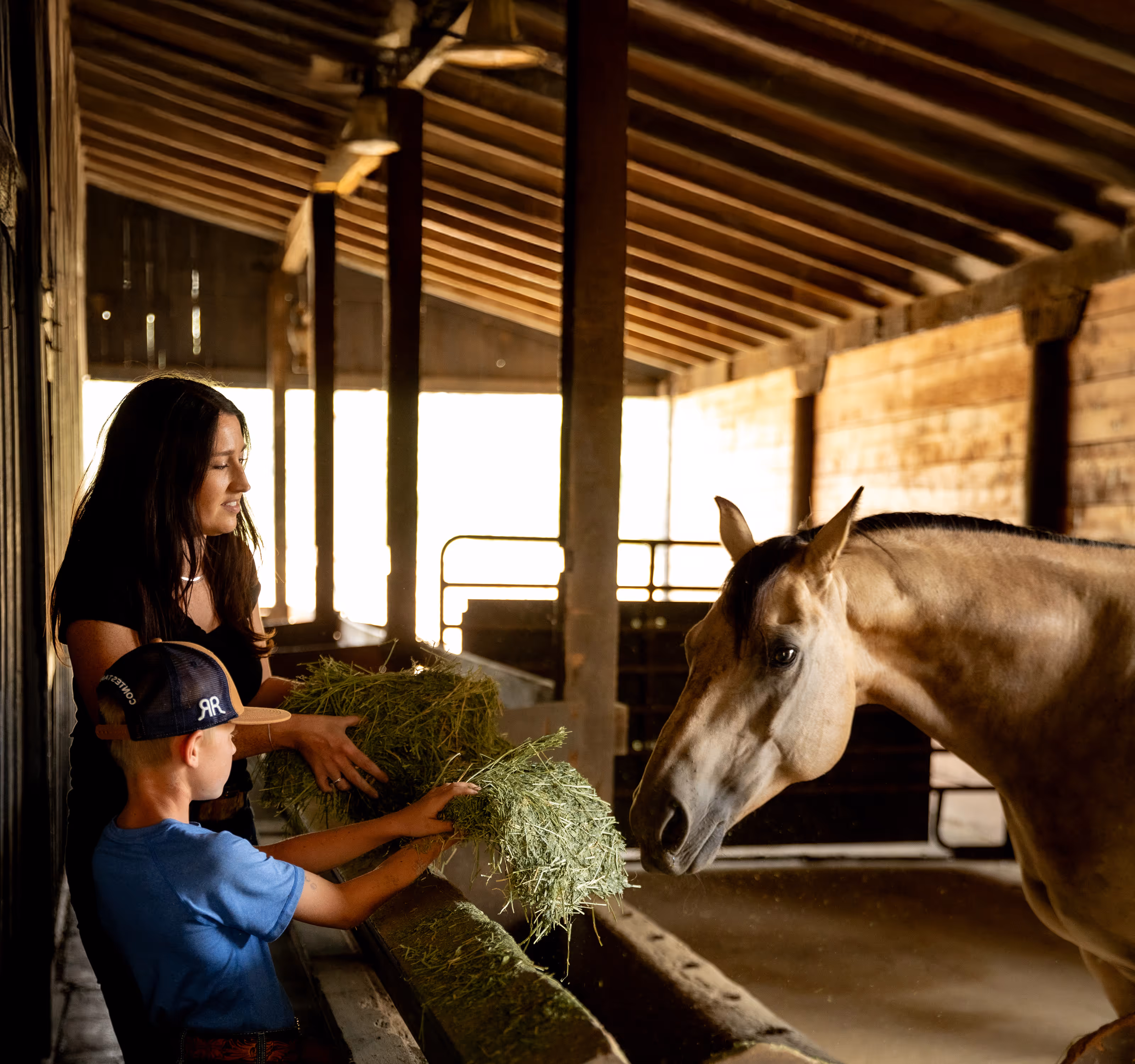 A woman and child feeding Anderson Hay to a horse in a stable