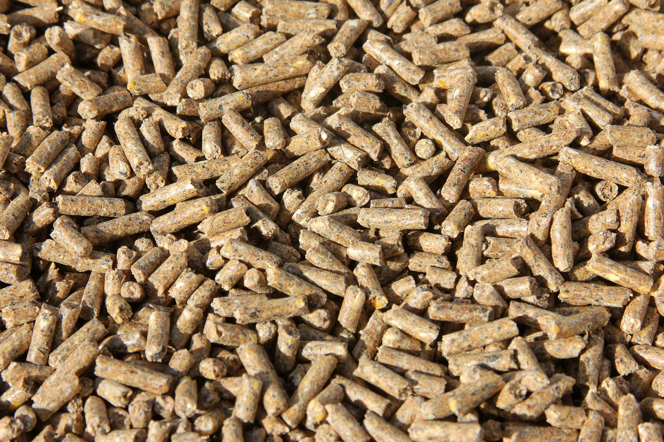 animal feed pellets