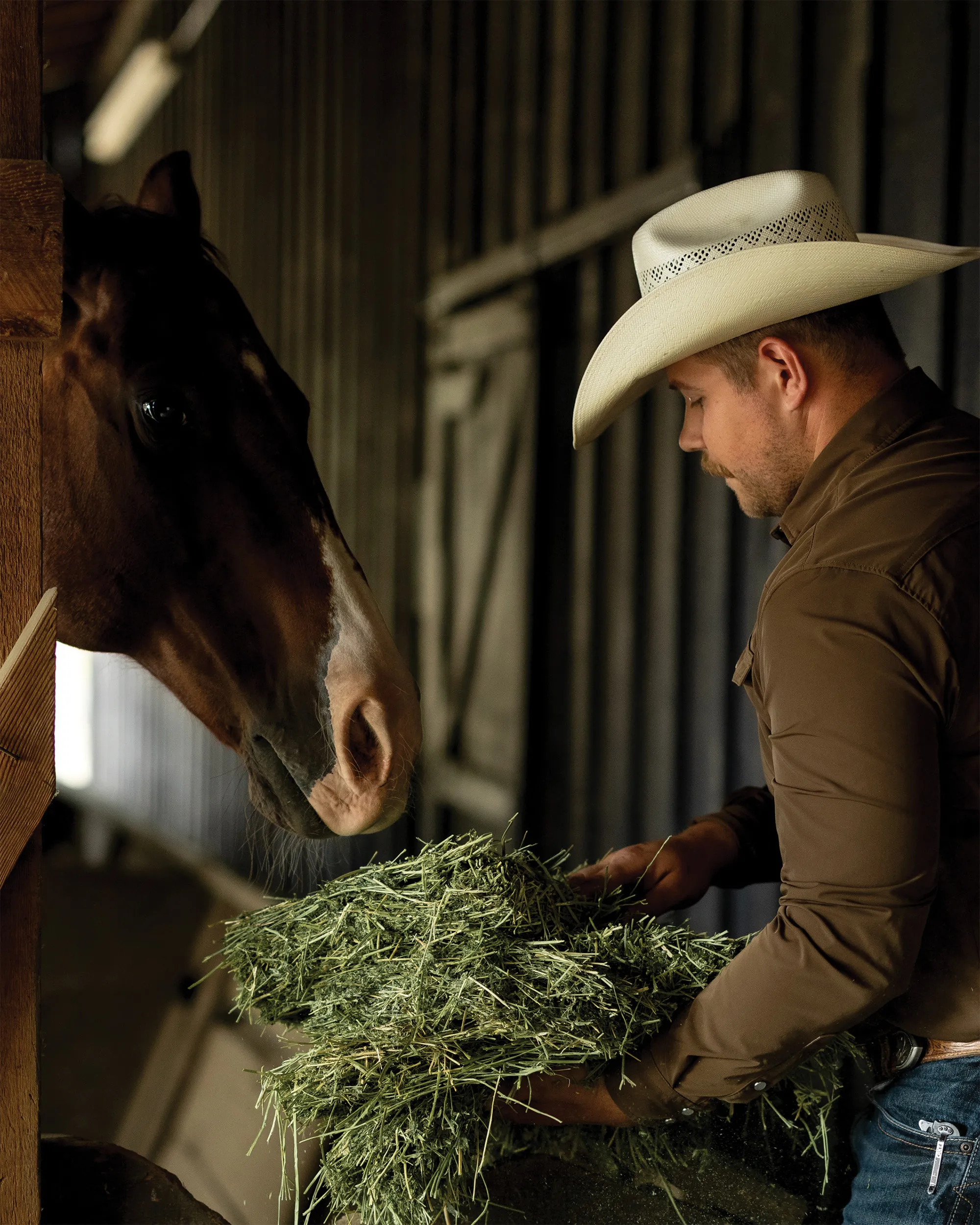 Man wearing a cowboy hat feeding fresh hay to a horse inside a stable.