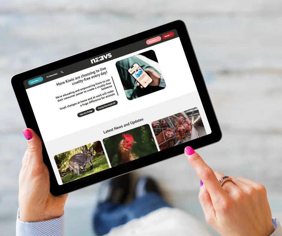 Person holding a tablet showing Amnesty International's donation campaign with the text 'The Time Is Now' over images of war devastation and displaced people.