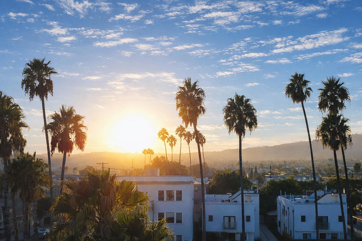 Los Anegeles skyline