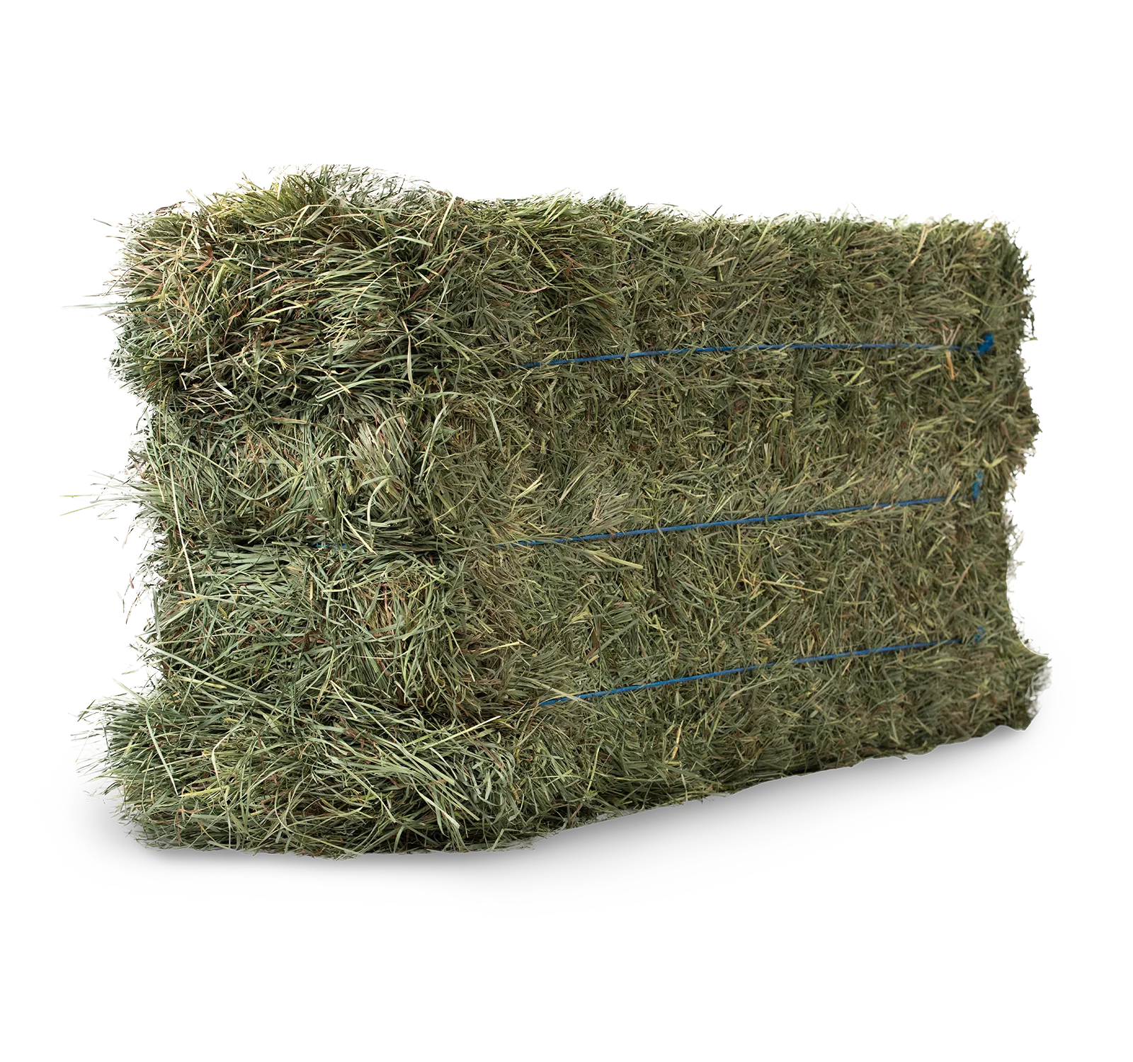 Anderson® 3-Tie Orchard Grass Hay Bale - 90 lb
