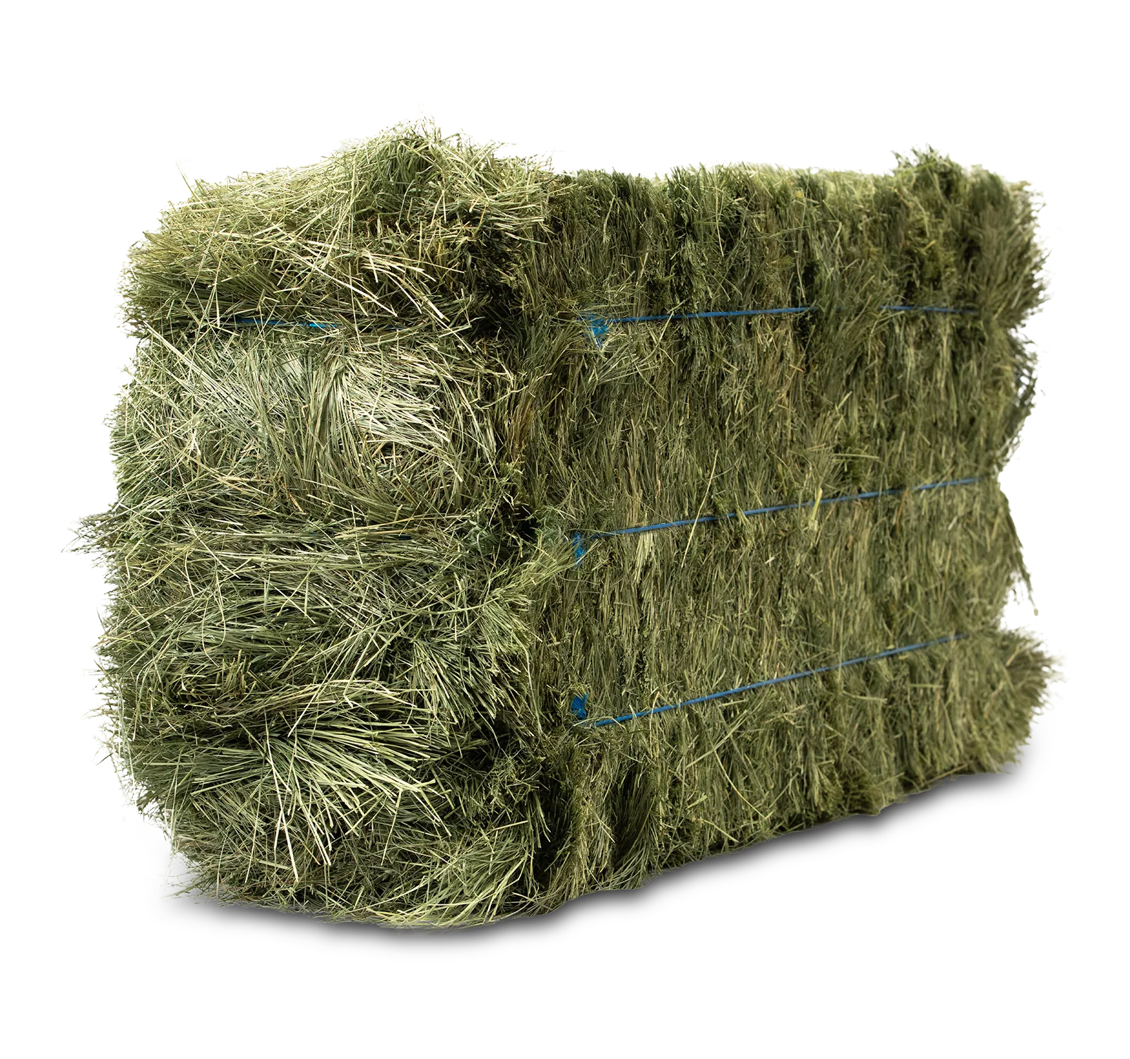Anderson® 3-Tie Teff Grass Hay Bale - 90 lb