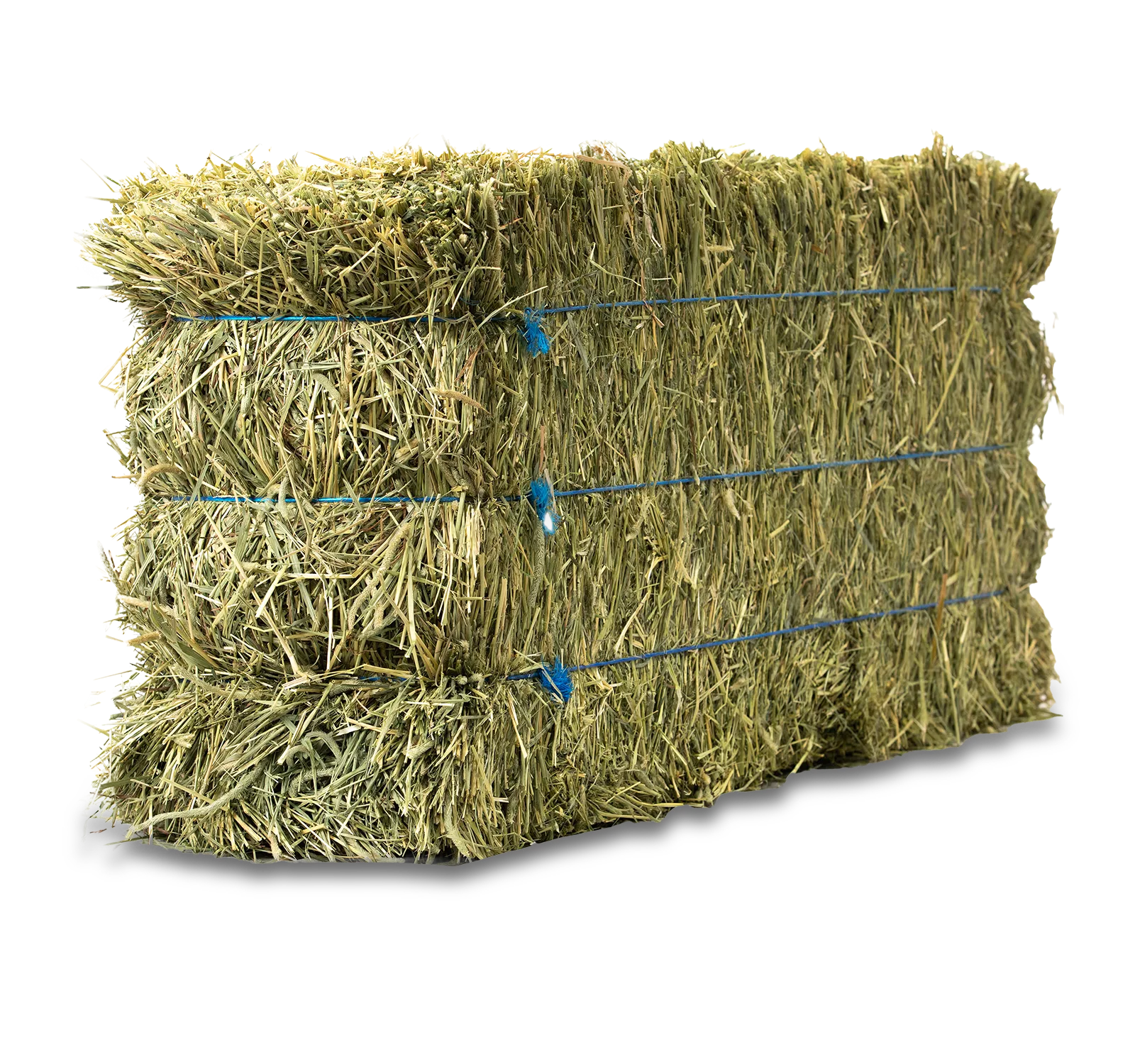Anderson® 3-Tie Timothy Hay Bale - 90 lb