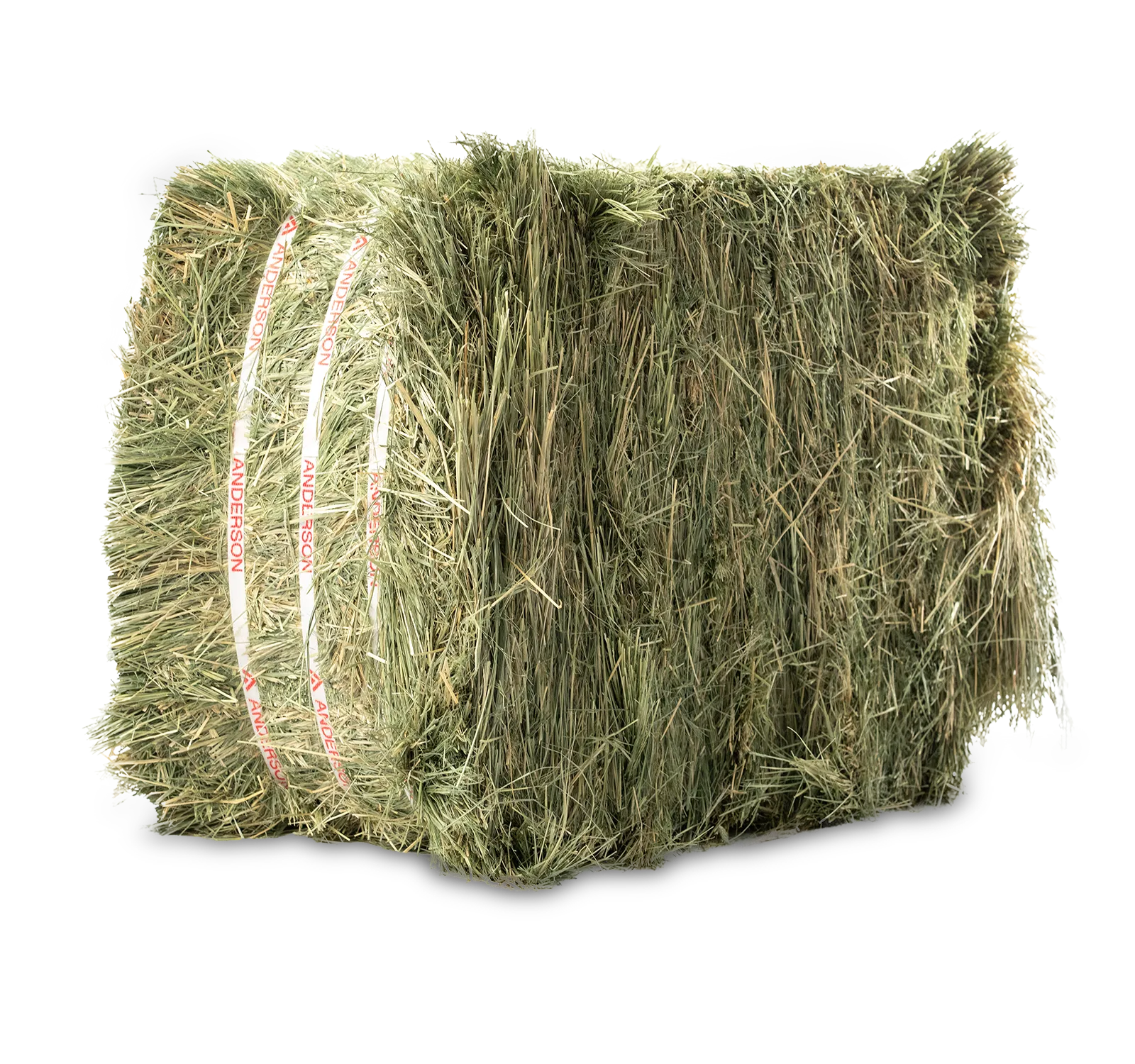 Anderson® Compressed Teff Grass Bale - 50 lb