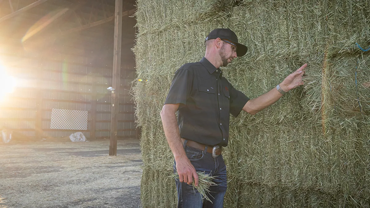 Anderson Hay representative, inspecting a freshly stacked load of premium timothy hay in Kittitas Valley, Washington.