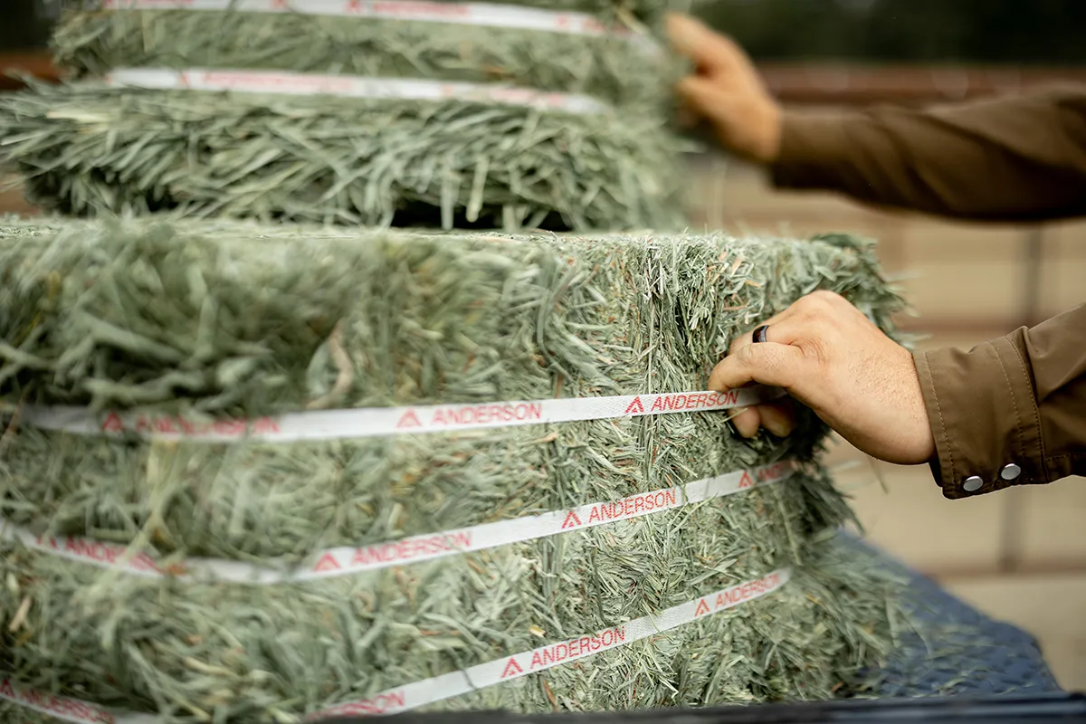 Compressed Anderson Hay bales showing dense, long stem forage secured with branded straps