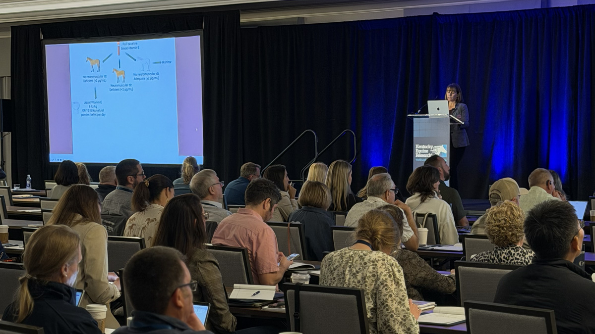 Dr. Carrie Finno presenting on vitamin E and horse health at the KER Nutrition Conference at World Equestrian Center
