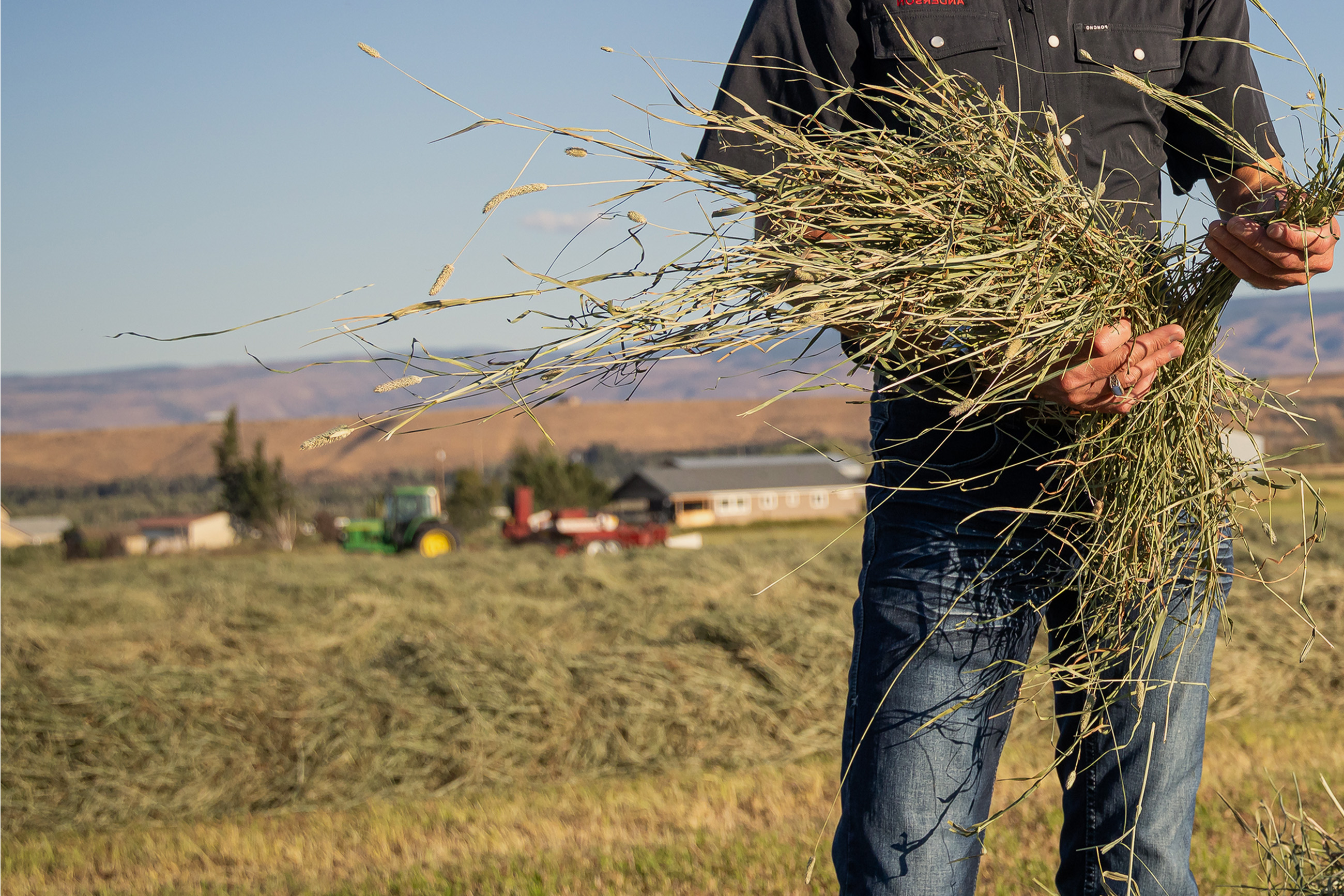 Someone inspecting hay out in the field