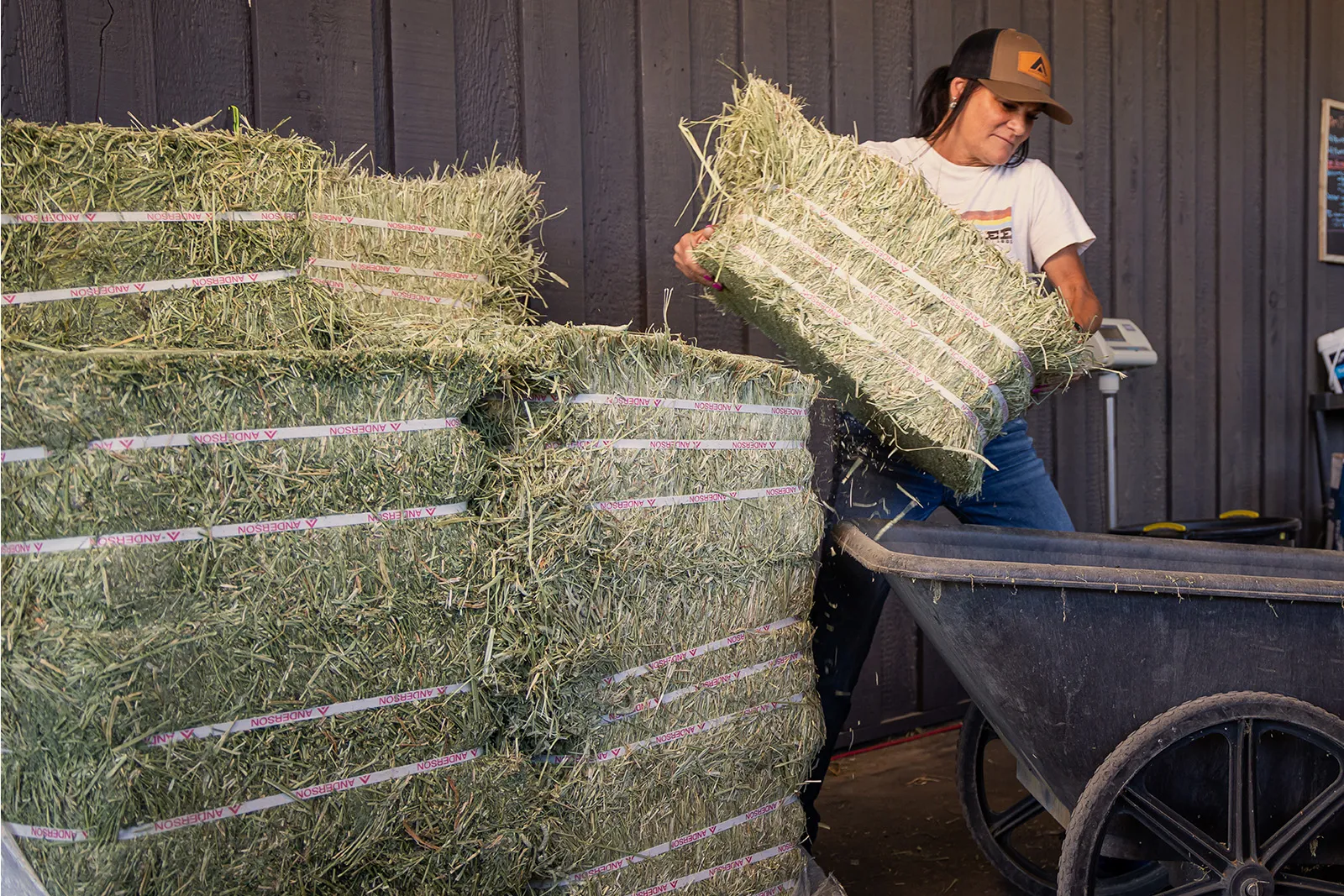 Compressed Bales