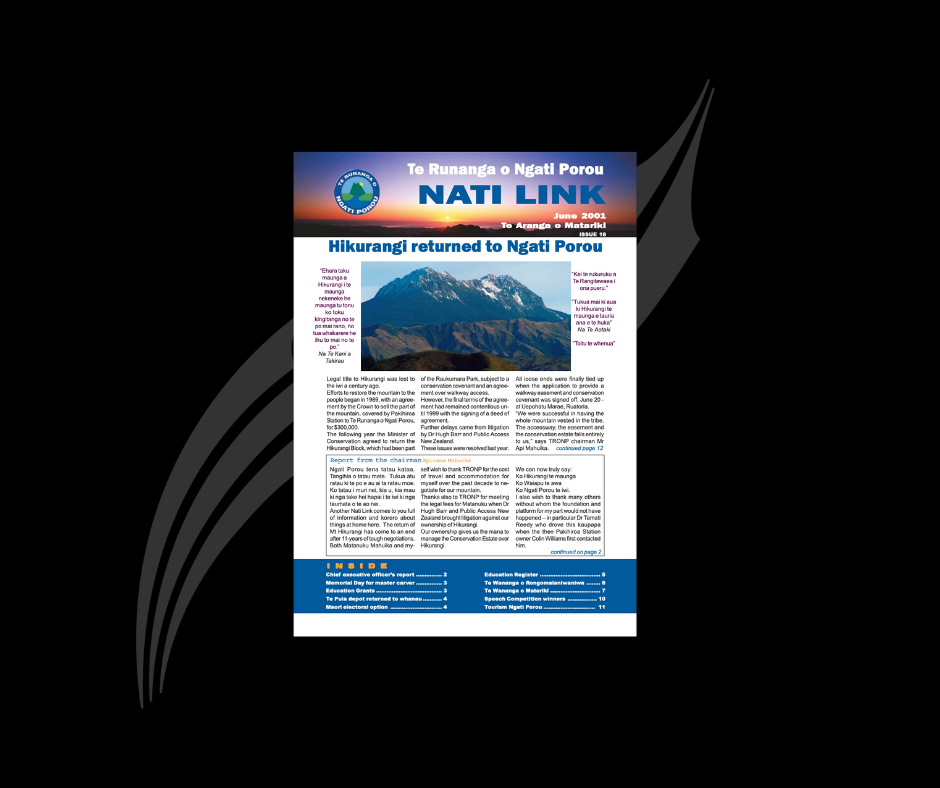  Nati Link Issue 18 - Hune 2001