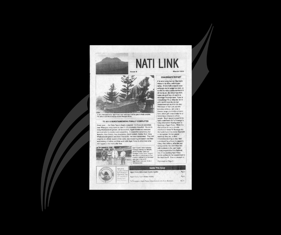 Nati Link Issue 6 - Maehe 1999