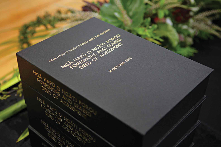 Nga Hapu o Ngati Porou Foreshore & Seabed Deed of Agreement, 2008.