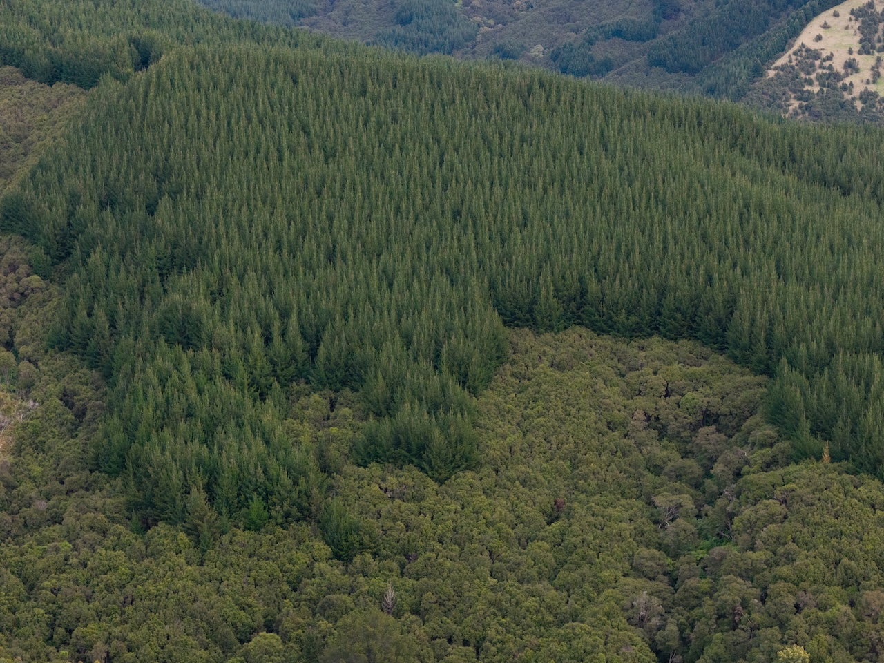 Ngāti Porou are at the heart of sustainable land use