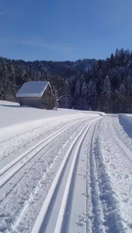 Ski de fond en hiver à Combloux, activité sportive dans les Alpes françaises avec vue sur le Mont-Blanc.