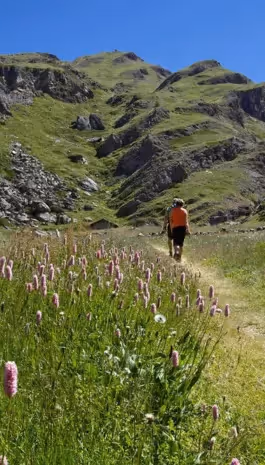 Randonnée dans les Alpes en été près du Mont-Blanc.