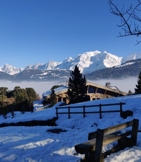 Vue panoramique sur le Mont-Blanc, résidence Les Roches du Mont-Blanc à Combloux.